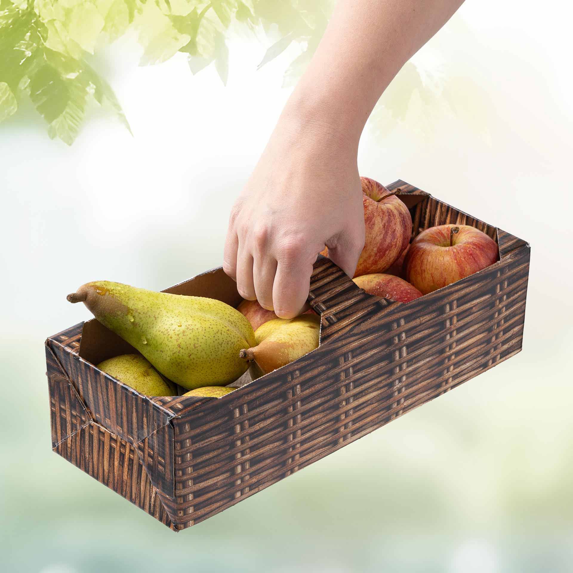 Obstkorb 2kg gefüllt mit Äpfel und Birnen in der Hand gehalten