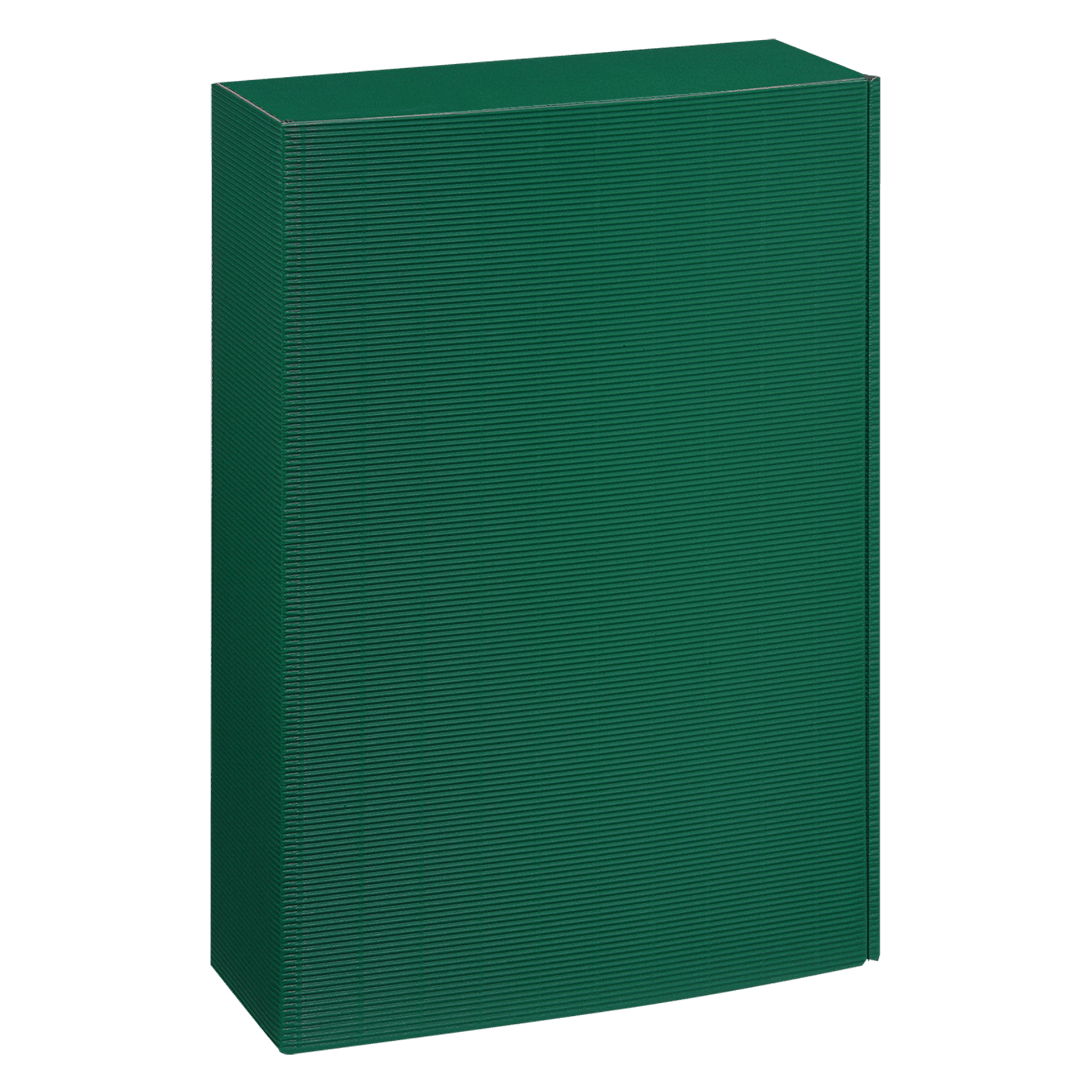 Präsentkarton - Grün - 3 x 0,75 l