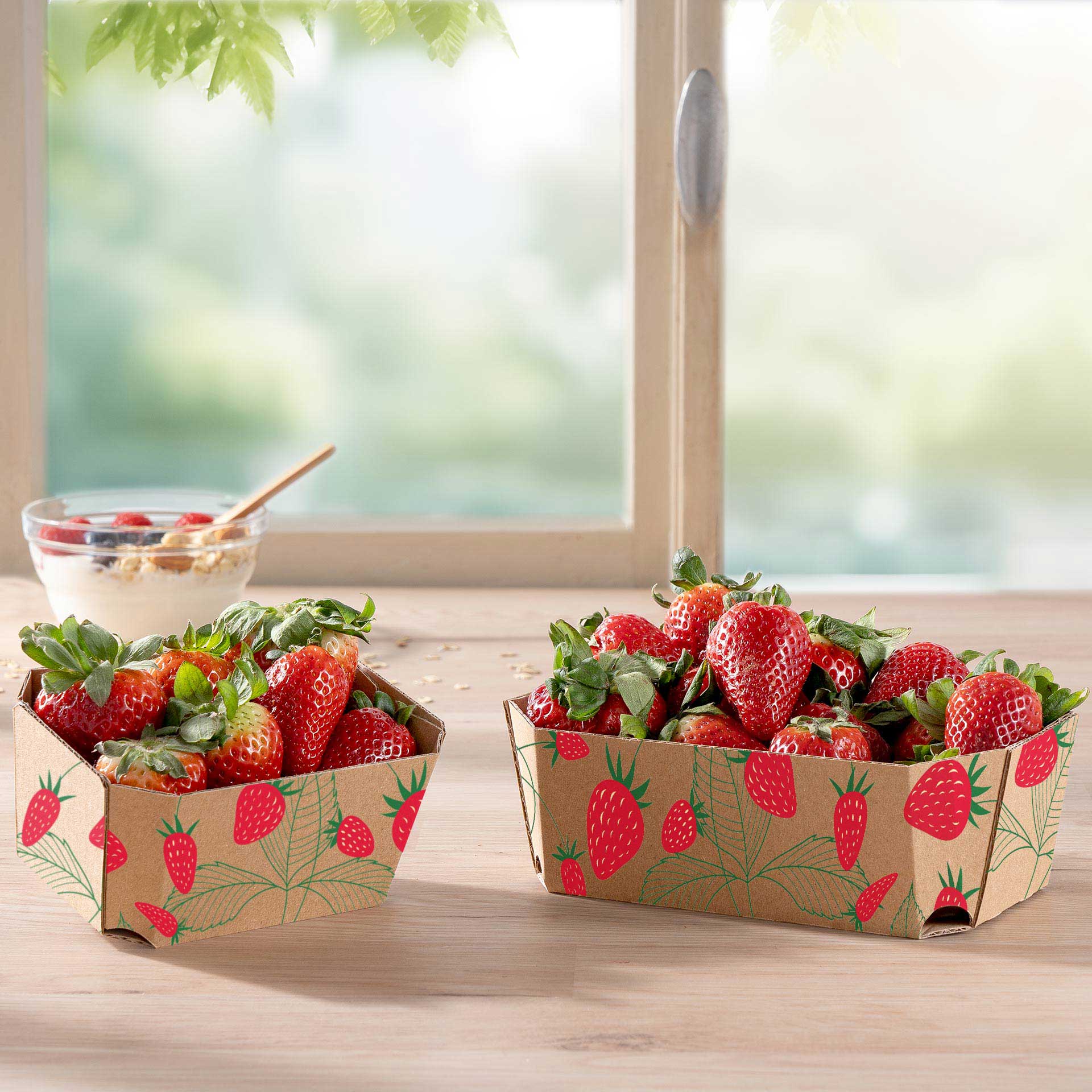 Zwei Schalen aus Wellpappe mit Erdbeeren 250g und 500g