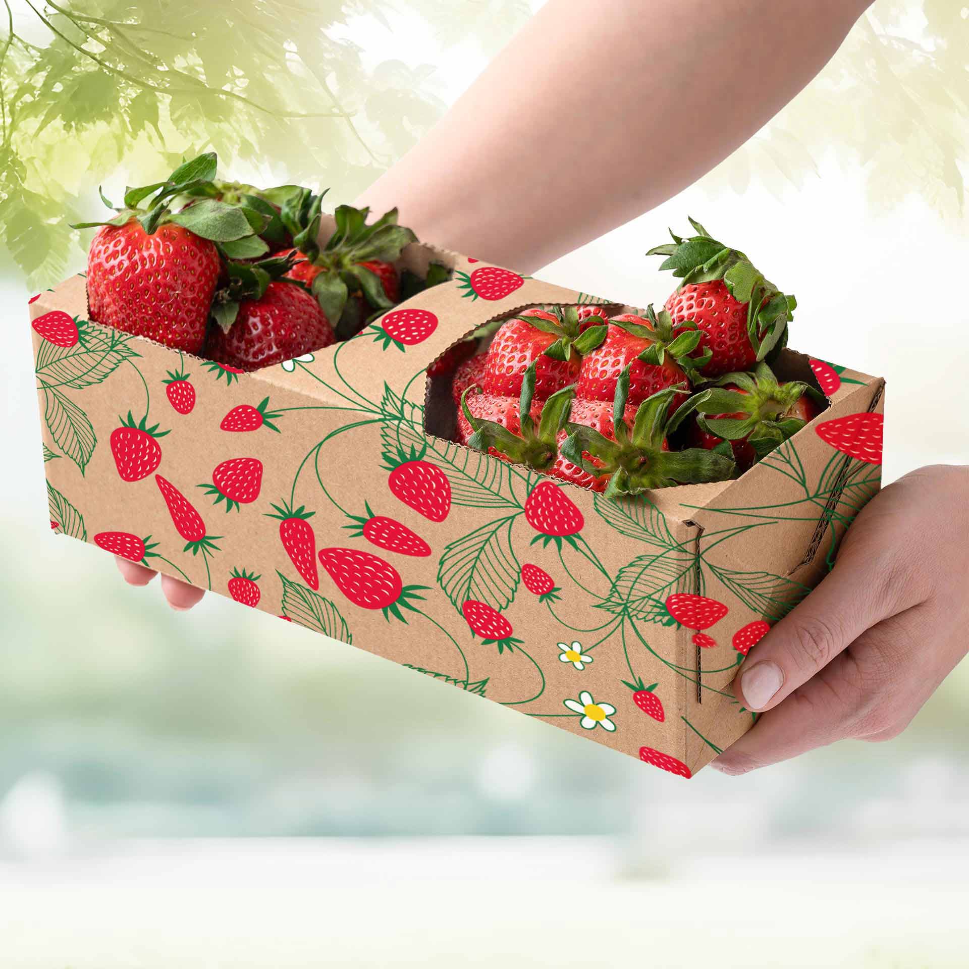 Obstkorb 1kg gefüllt mit Erdbeeren in der Hand gehalten