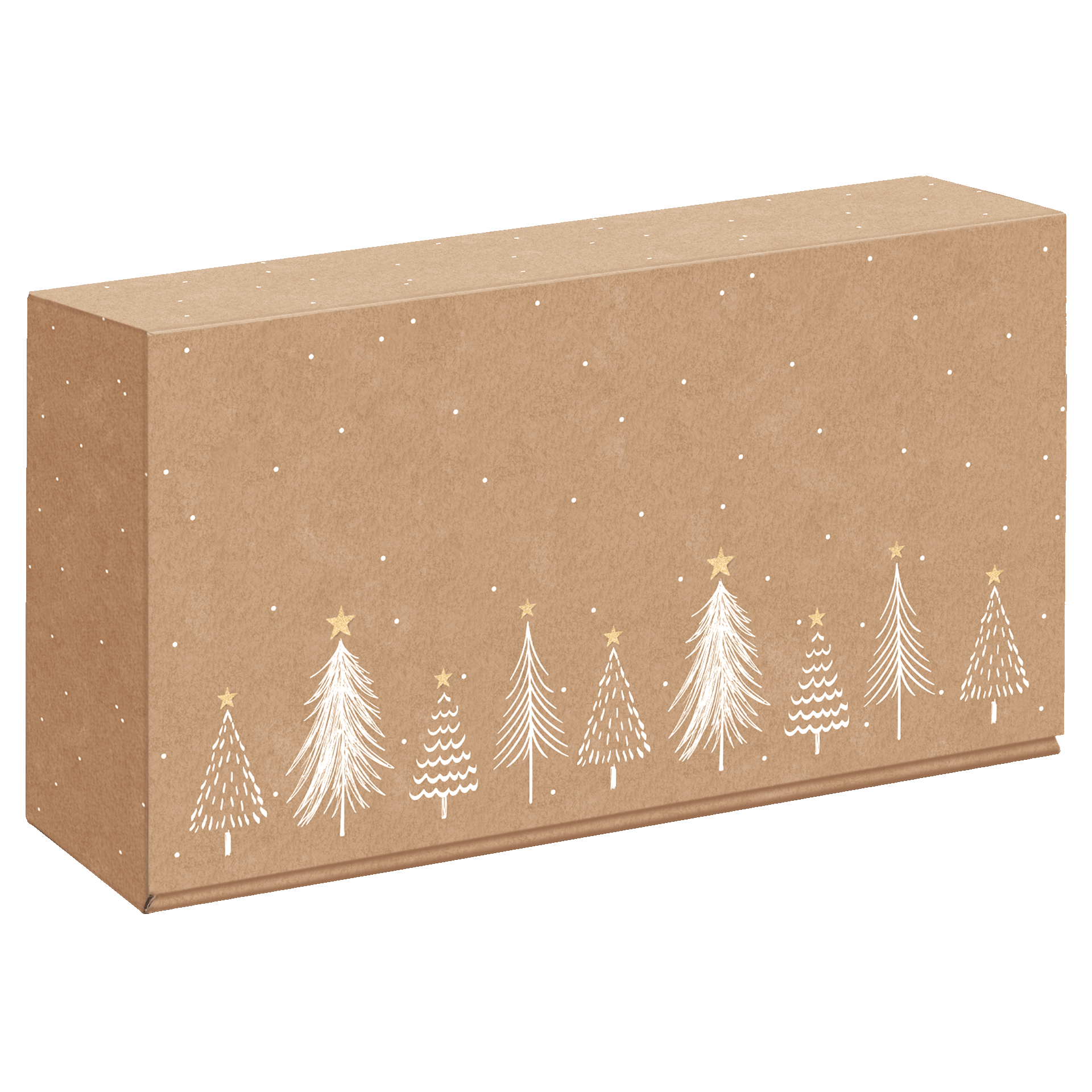 Modern Christmas Natura