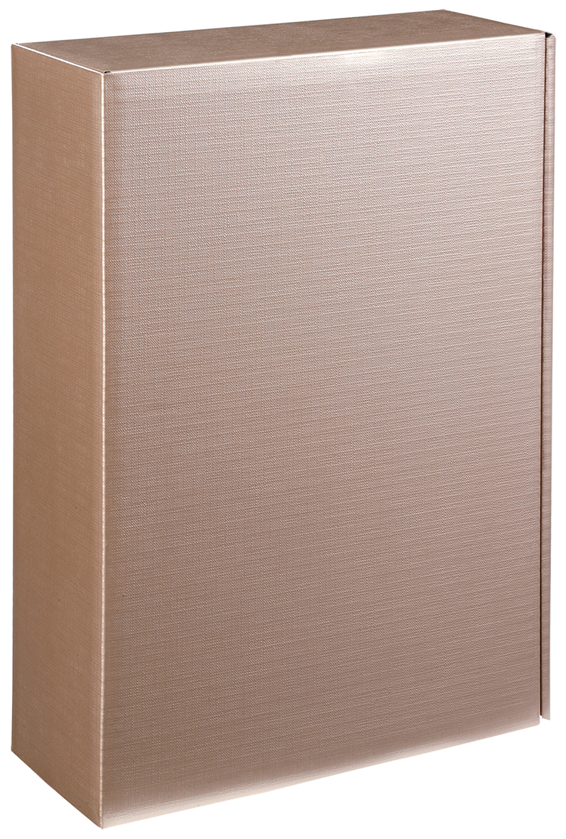 Intenso Metallic-Gold