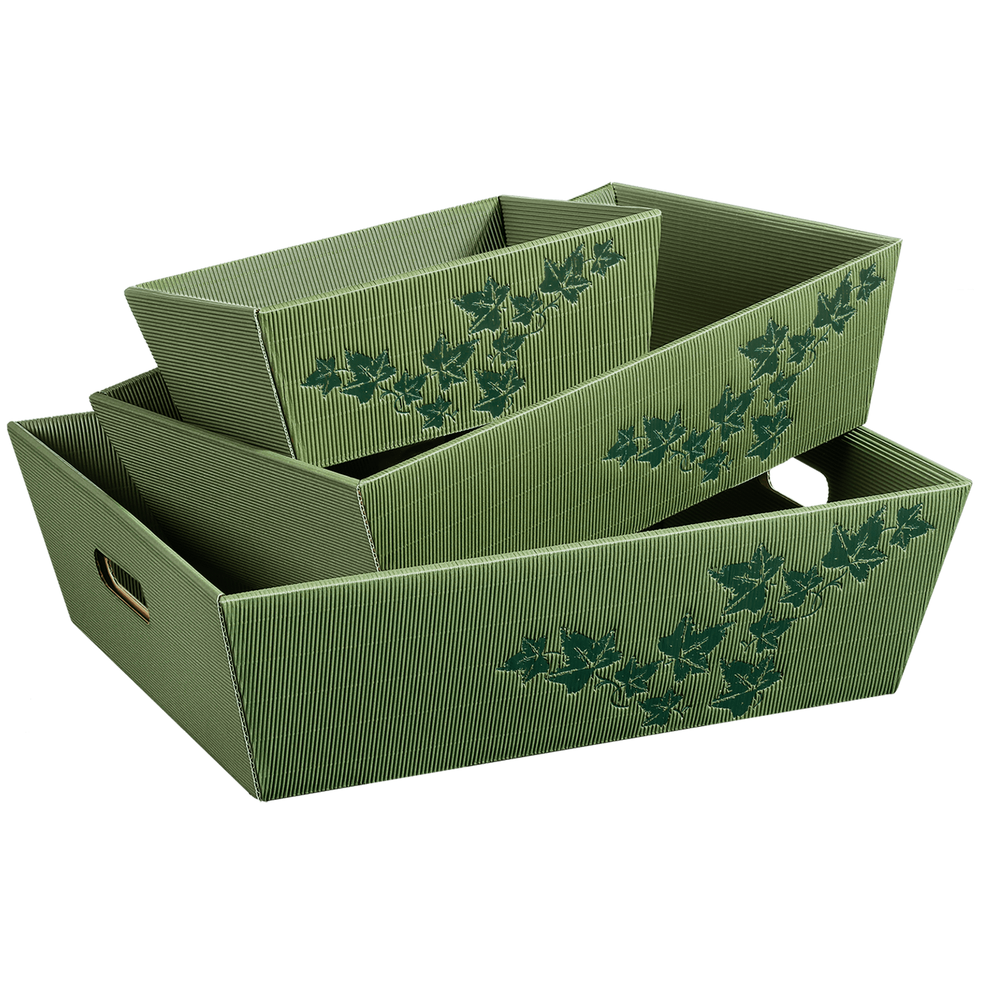 Präsentkorb viereckig - Efeu - mittel