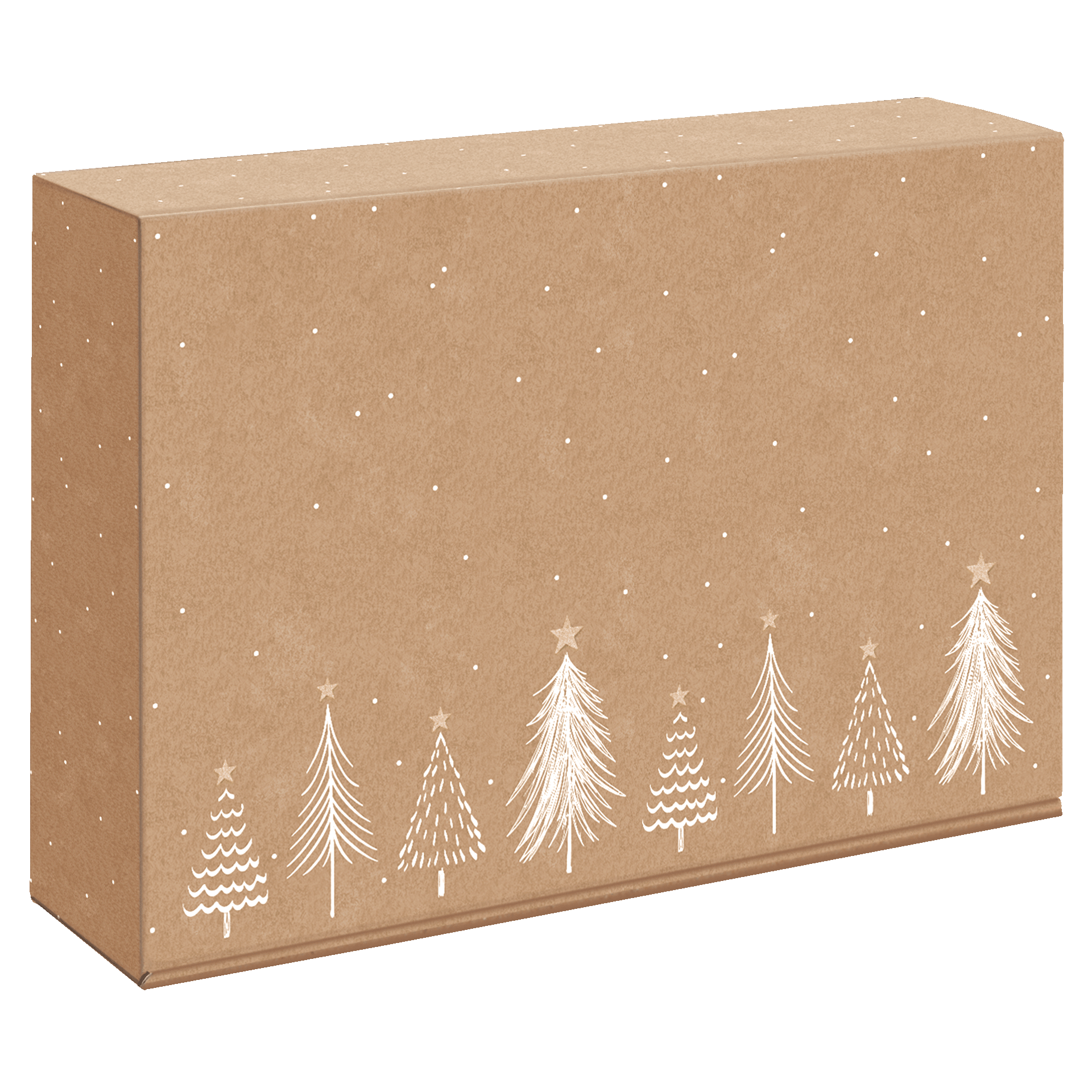 Modern Christmas Natura