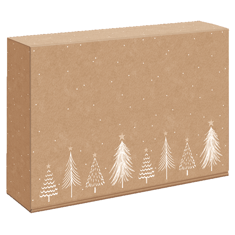 Modern Christmas Natura